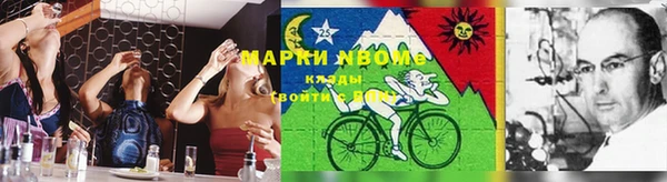 прущая мука Верея