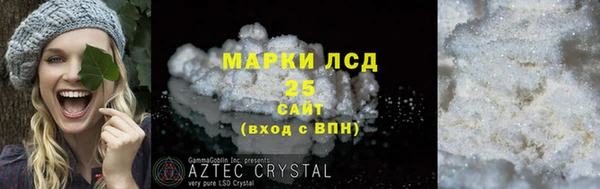ПСИЛОЦИБИНОВЫЕ ГРИБЫ Верхний Тагил
