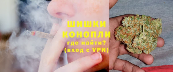 ПСИЛОЦИБИНОВЫЕ ГРИБЫ Верхний Тагил