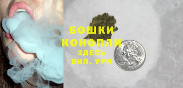 ПСИЛОЦИБИНОВЫЕ ГРИБЫ Верхний Тагил