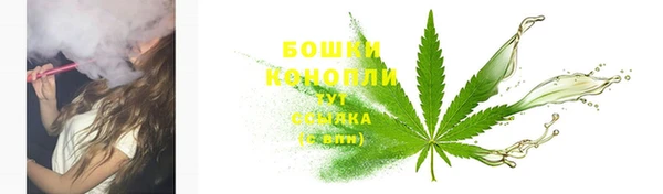 ПСИЛОЦИБИНОВЫЕ ГРИБЫ Верхний Тагил