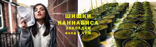 прущая мука Верея