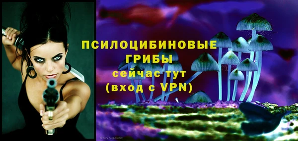 прущая мука Верея